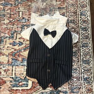 Pinstripe Dog Tuxedo with Bow Tie